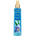 Morning Glory Fragrance Body Mist 8 oz Pack of 3 T79846