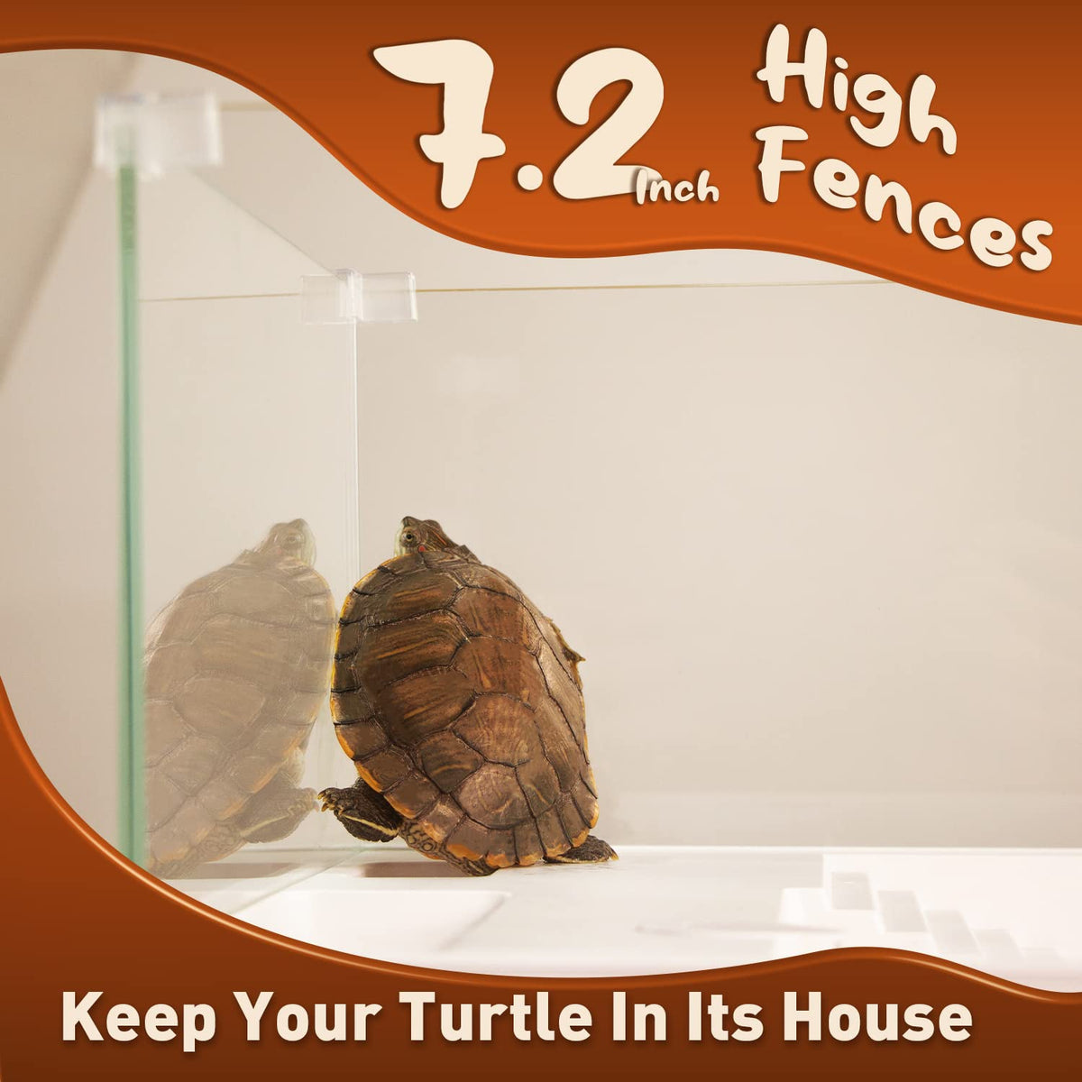 Turtle Tank Aquarium Kit with Basking Platform Q393008