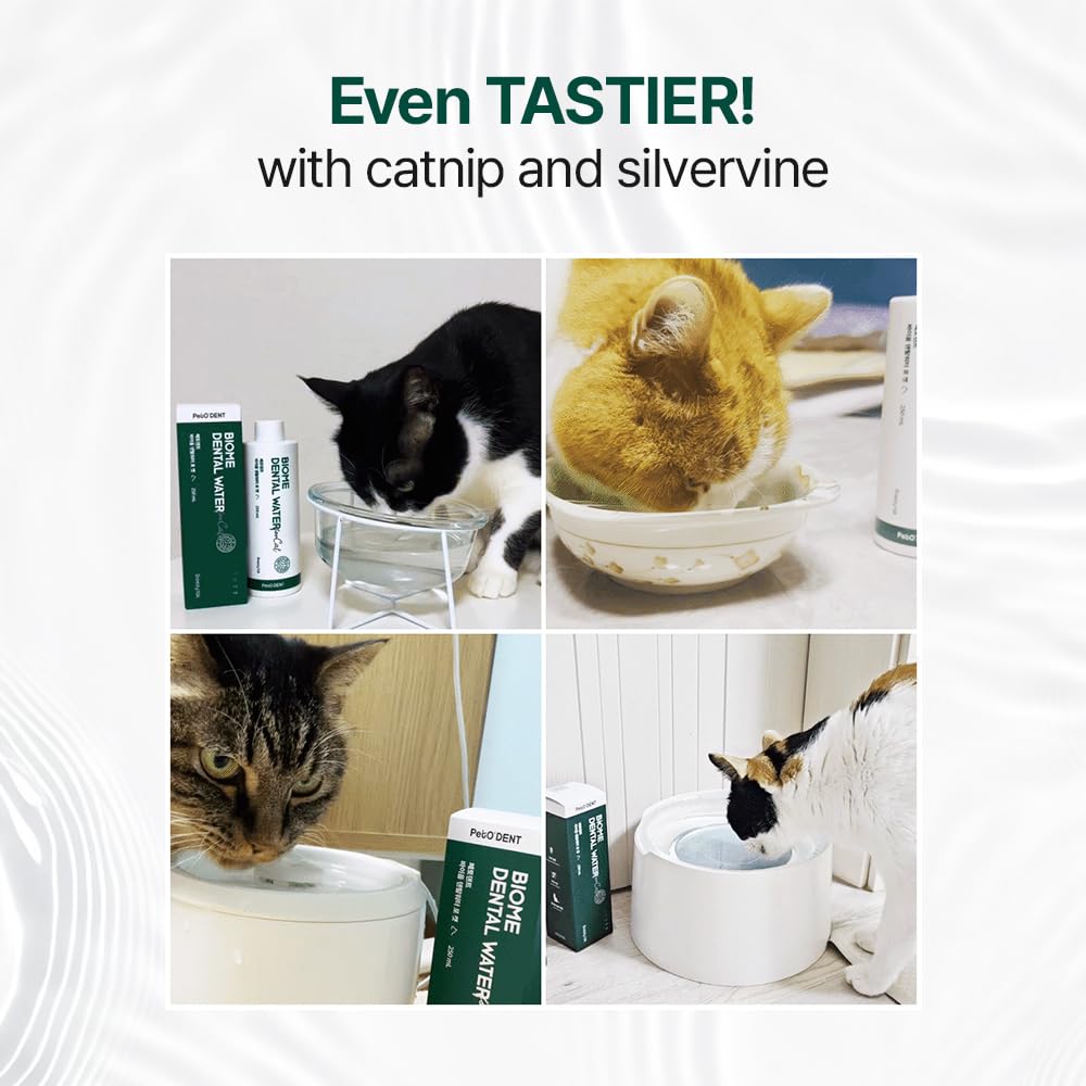 Dental Water Additive for Cats 8.45 fl oz Y990371