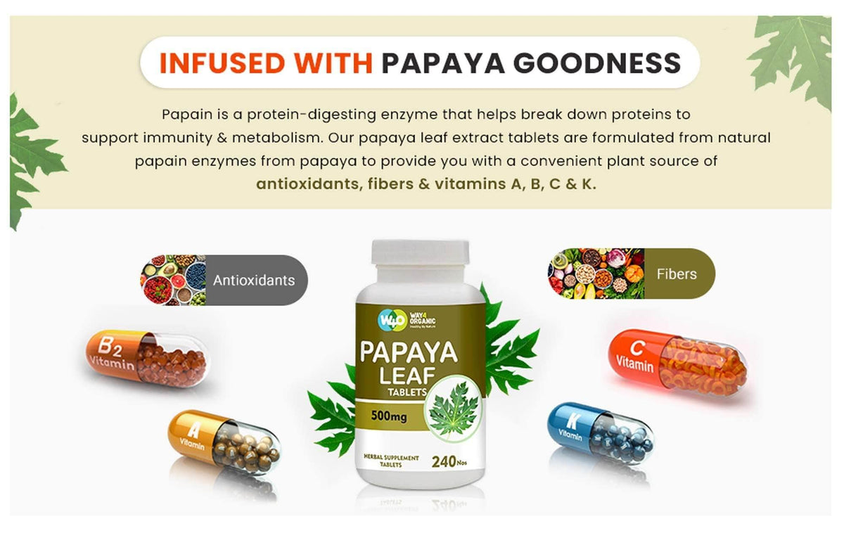 Papaya Leaf Extract 500 mg 240 Capsules H35521