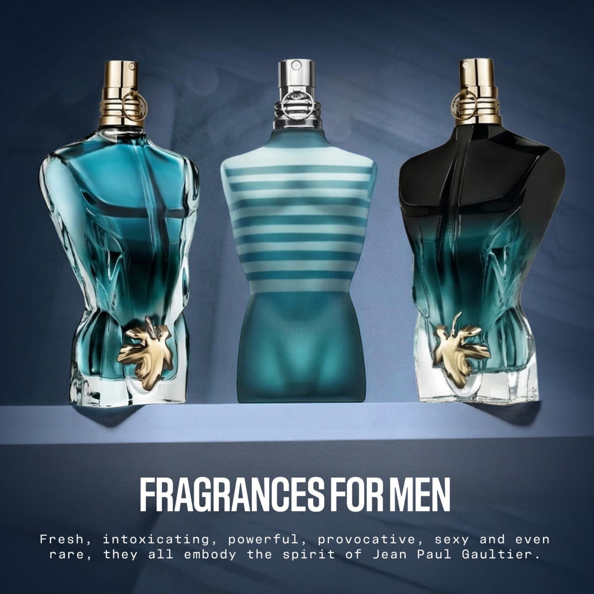 Le Male Eau de Toilette F248299