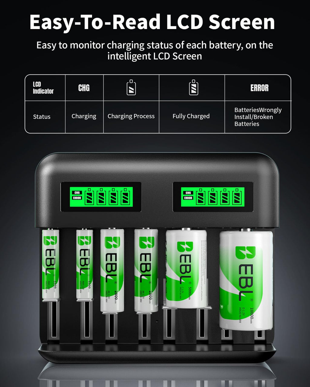 AA AAA C D Rechargeable Battery Charger with 8 PCS Batteries Z6559