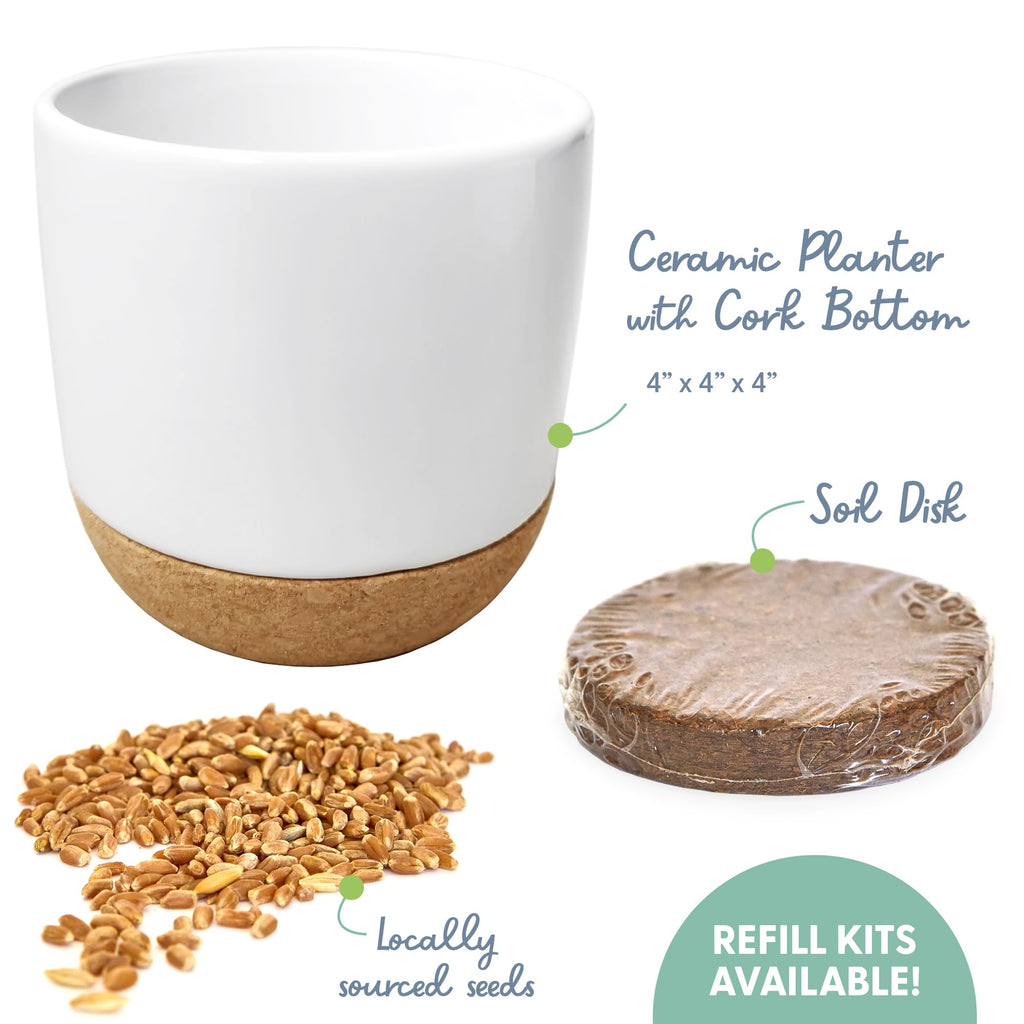 Organic Cat Grass Kit with Seed Mix, Soil and Ceramic Planter H957