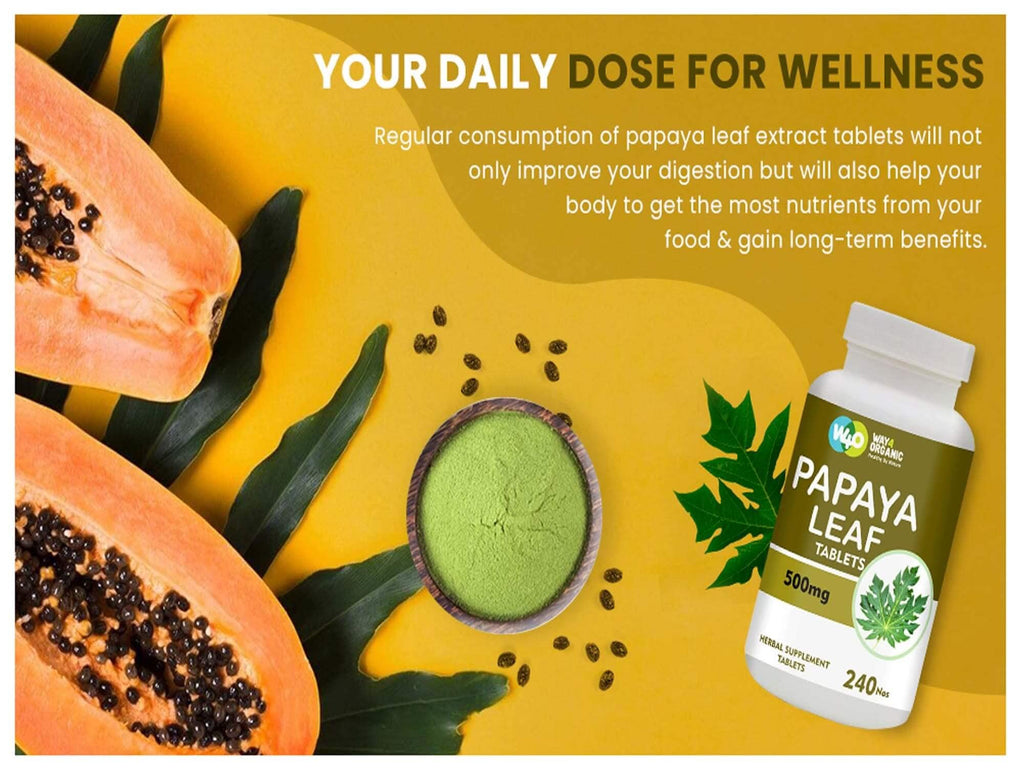 Papaya Leaf Extract 500 mg 240 Capsules H35521