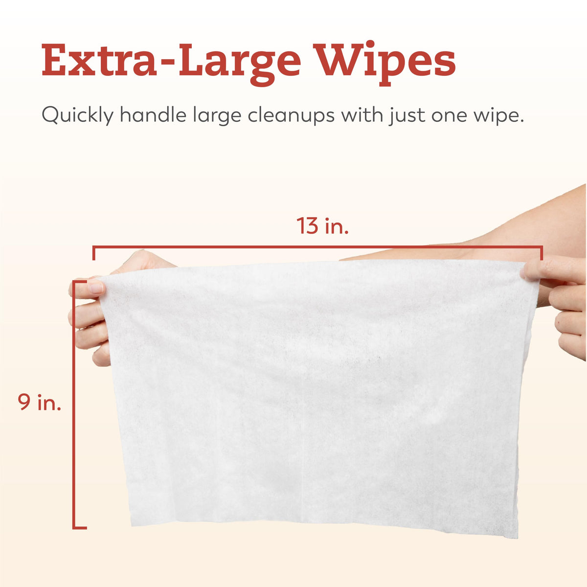 Large Briefs Multi-Pack with Cleansing Wipes W39300