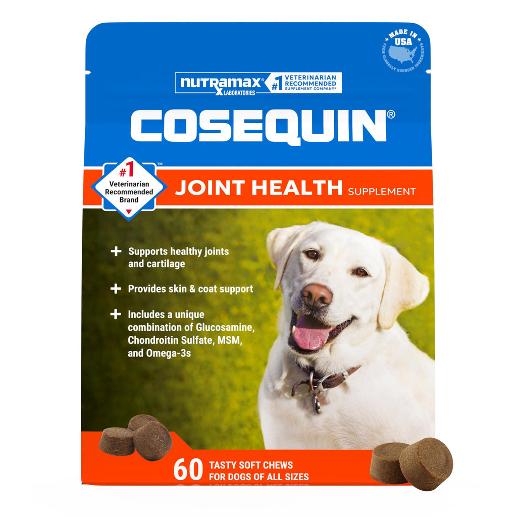 Dog Joint Supplement Soft Chews 60ct Q671338