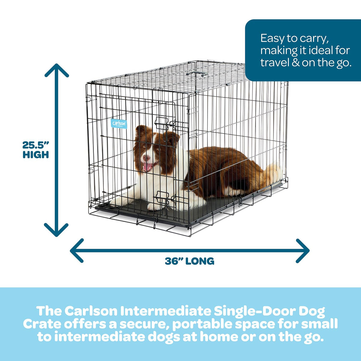 36" Foldable Metal Dog Crate with Removable Tray H3556