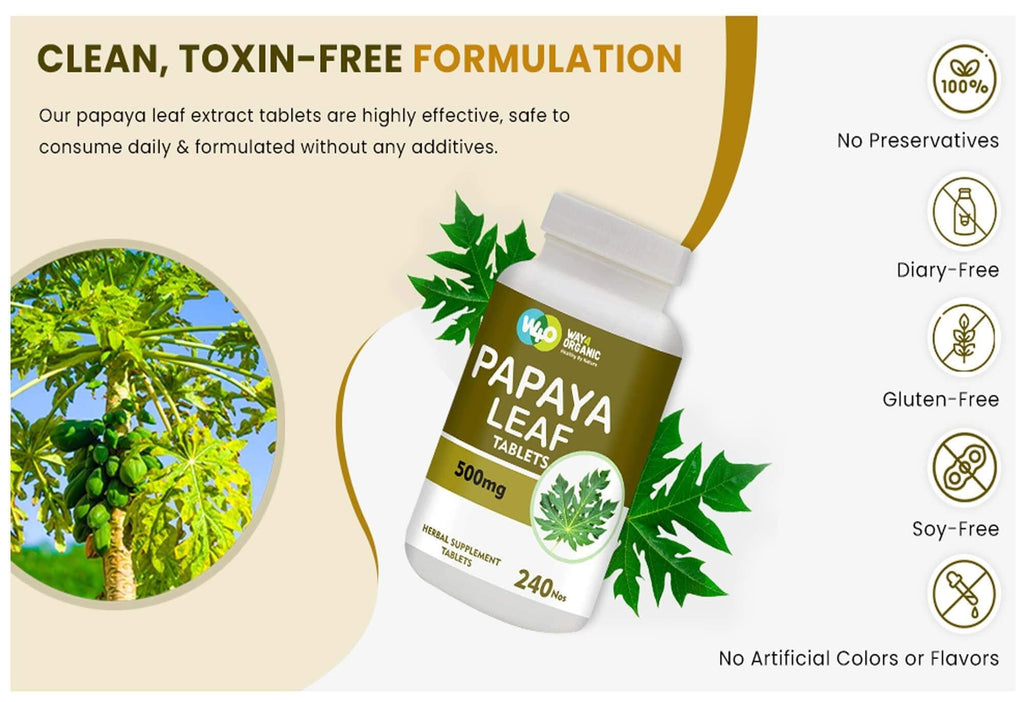 Papaya Leaf Extract 500 mg 240 Capsules H35521