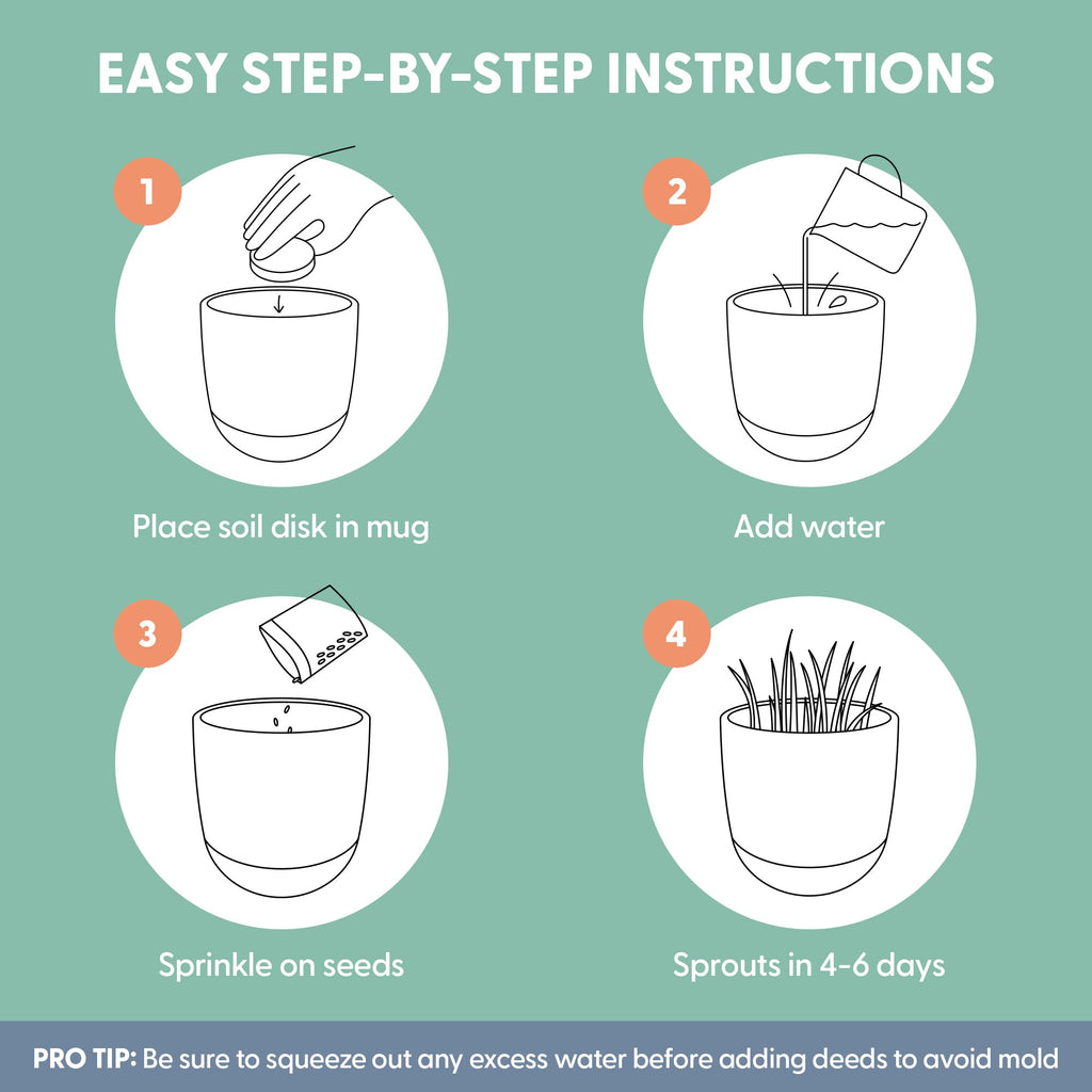 Organic Cat Grass Kit with Seed Mix, Soil and Ceramic Planter H957