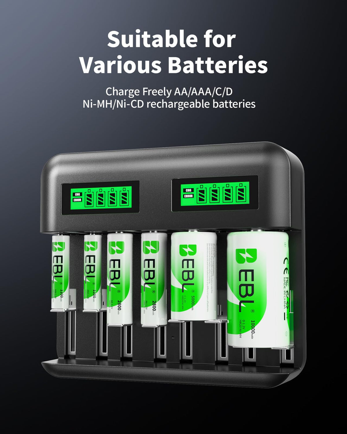 AA AAA C D Rechargeable Battery Charger with 8 PCS Batteries Z6559
