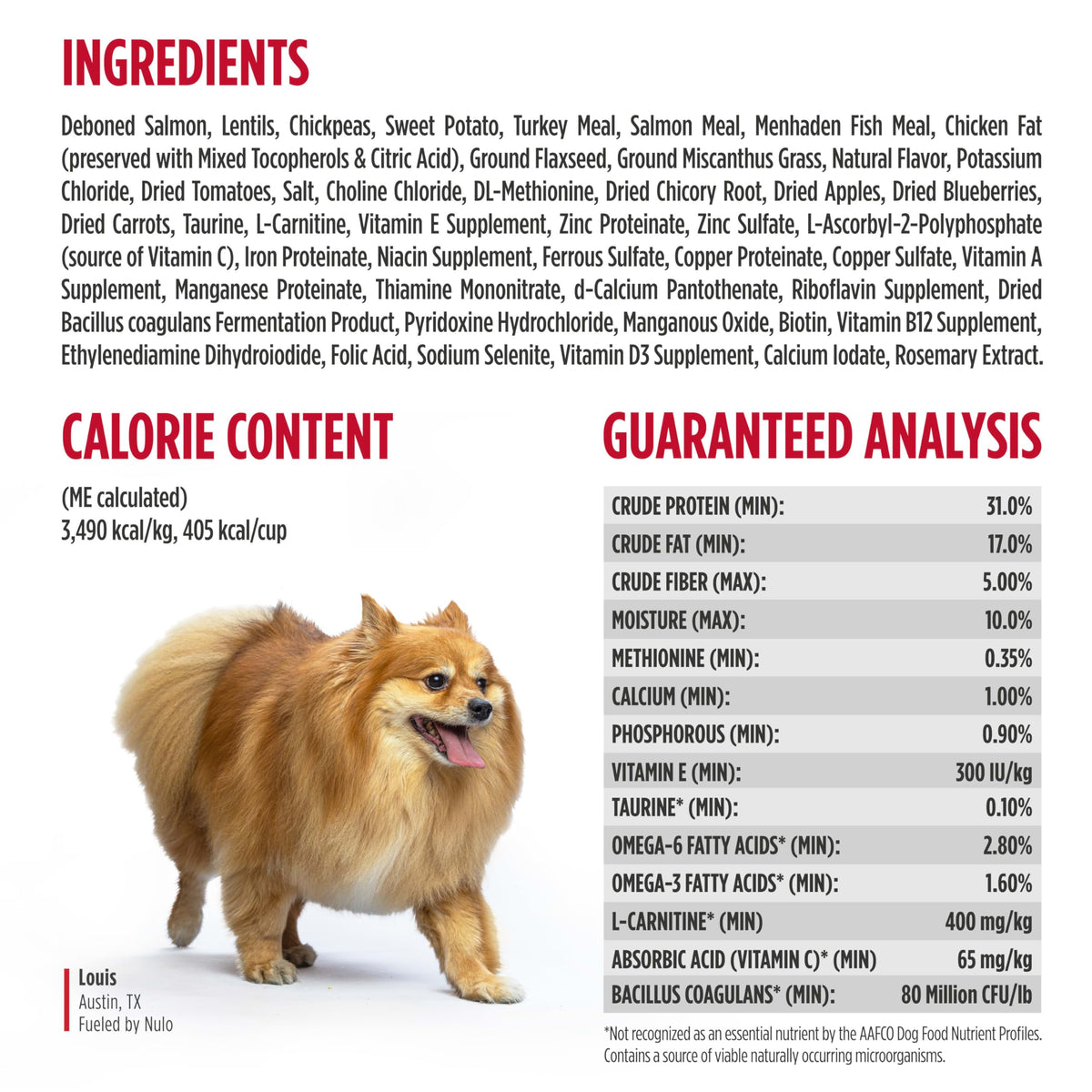 Salmon & Lentils Grain Free Dry Dog Food 6lb Bag N821564