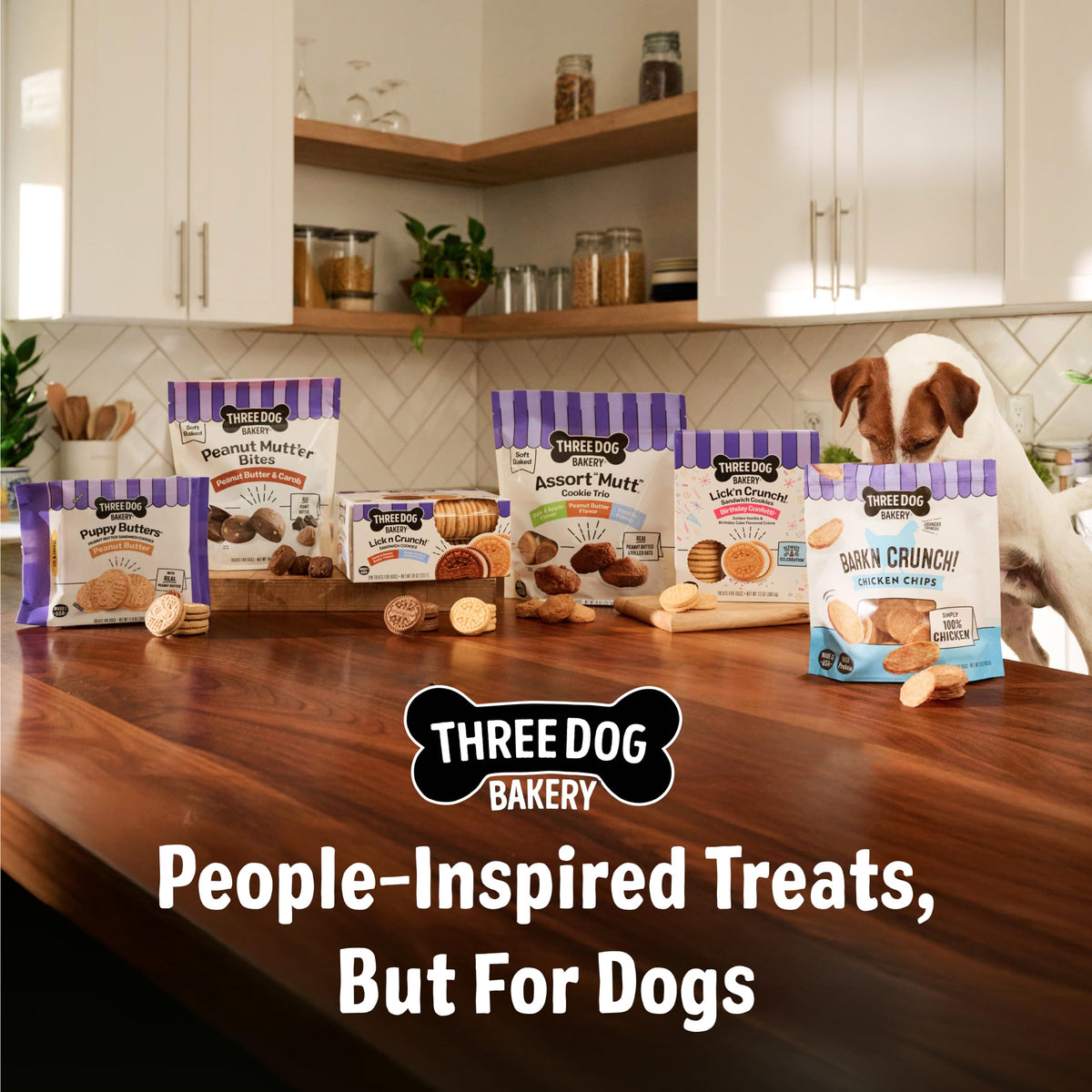 Dog Treats 48 oz Variety Pack M942244