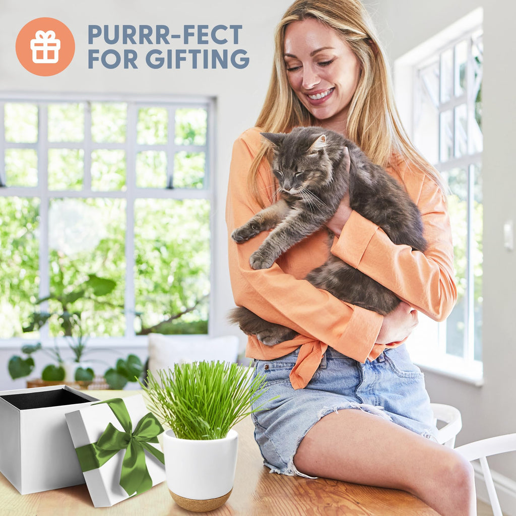 Organic Cat Grass Kit with Seed Mix, Soil and Ceramic Planter H957