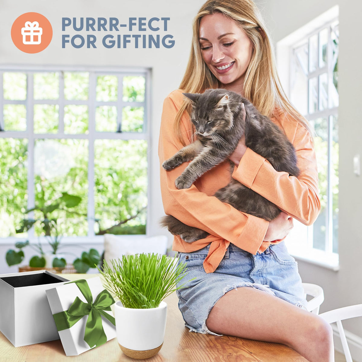 Organic Cat Grass Kit with Seed Mix, Soil and Ceramic Planter H957