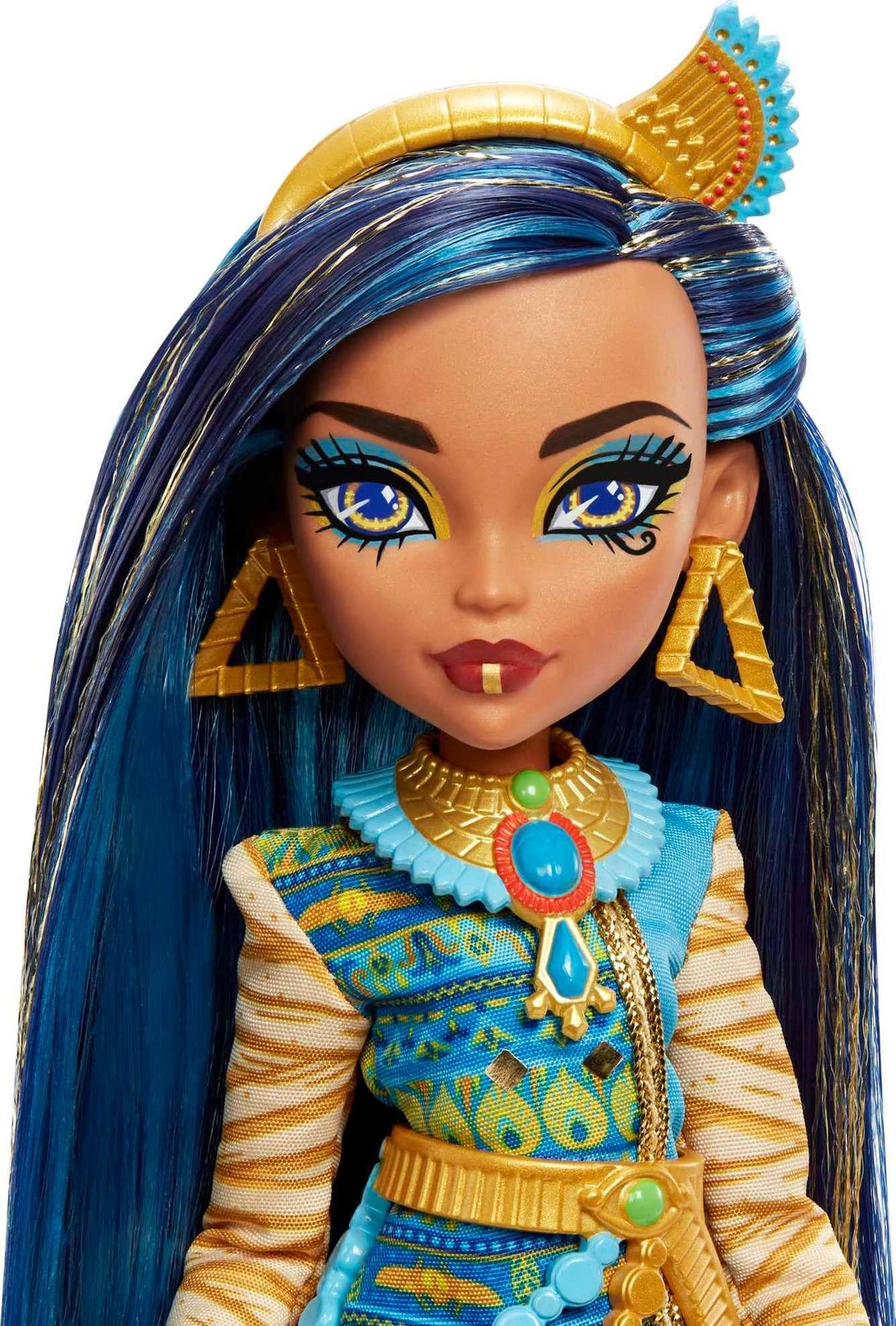 Monster High Doll with Blue Streaked Hair and Fashion Accessories Y290