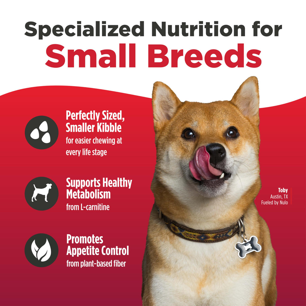 Salmon & Lentils Grain Free Dry Dog Food 6lb Bag N821564