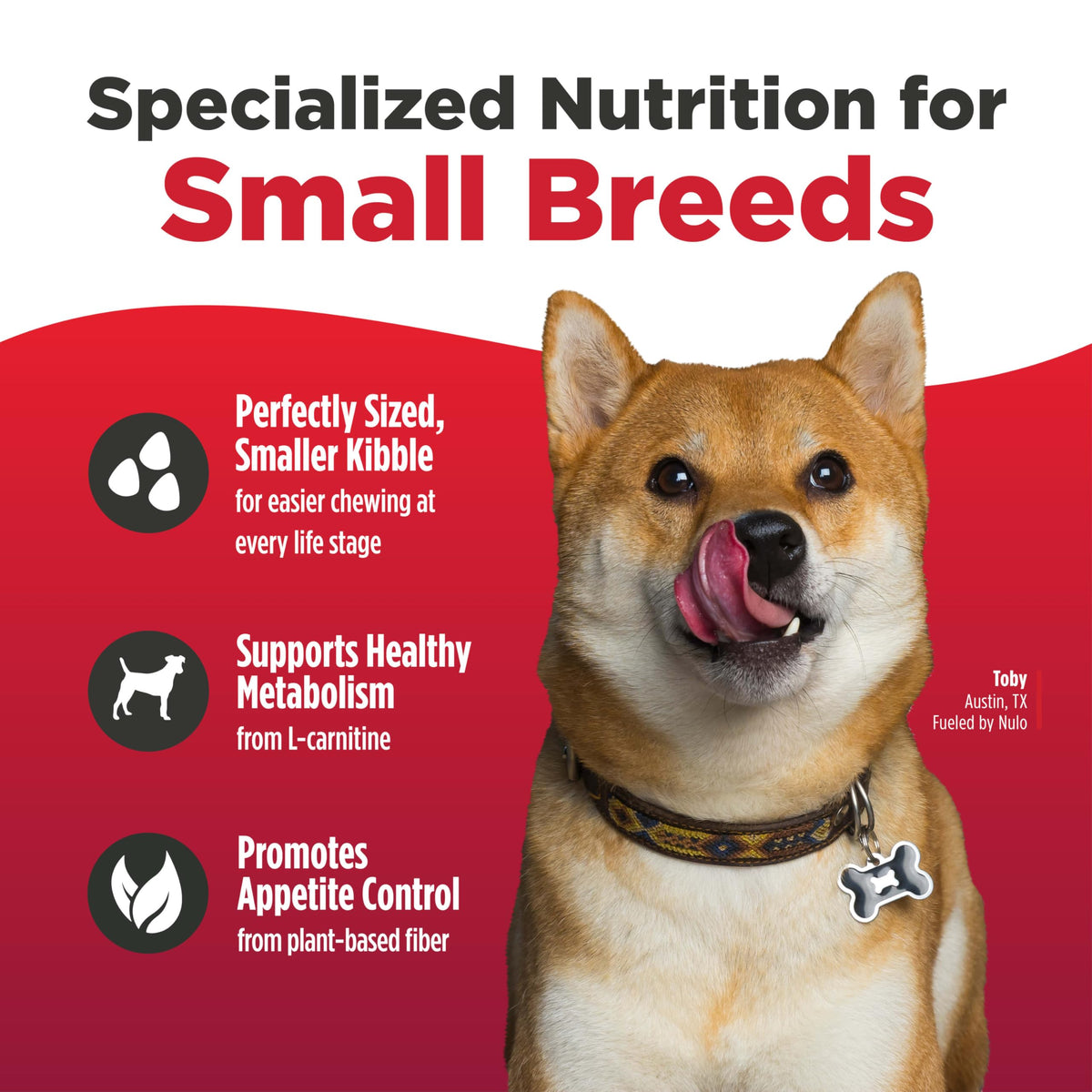 Salmon & Lentils Grain Free Dry Dog Food 6lb Bag N821564