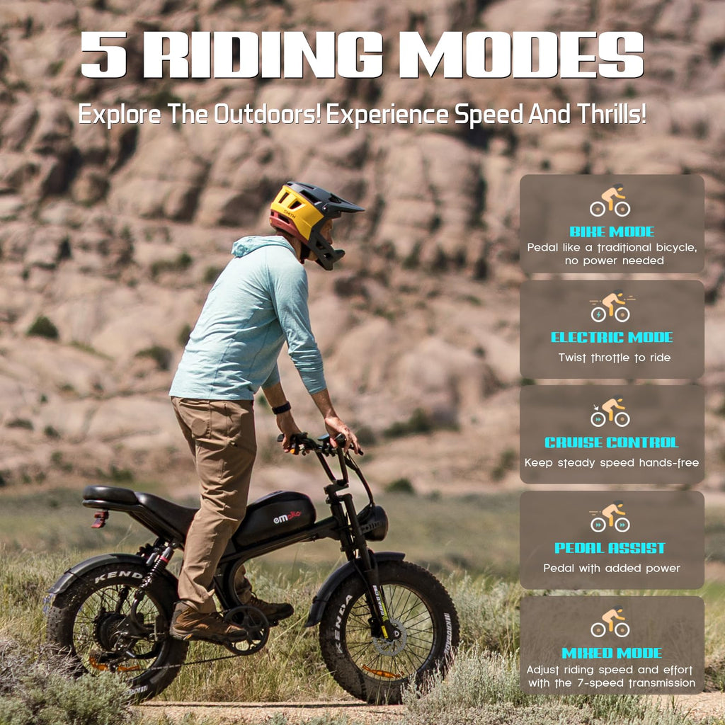 Peak 1500W 48V 20Ah 20'' Fat Tire 7-Speed Electric Bike O891
