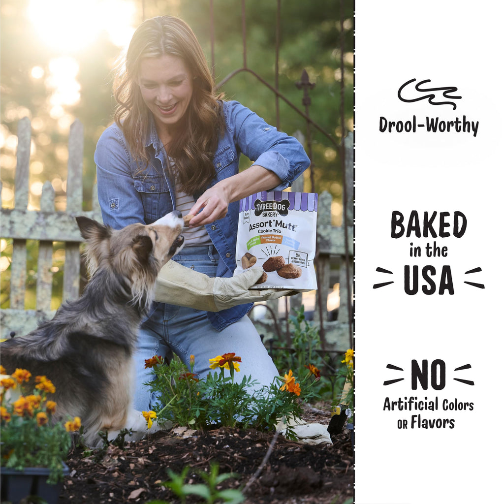 Dog Treats 48 oz Variety Pack M942244
