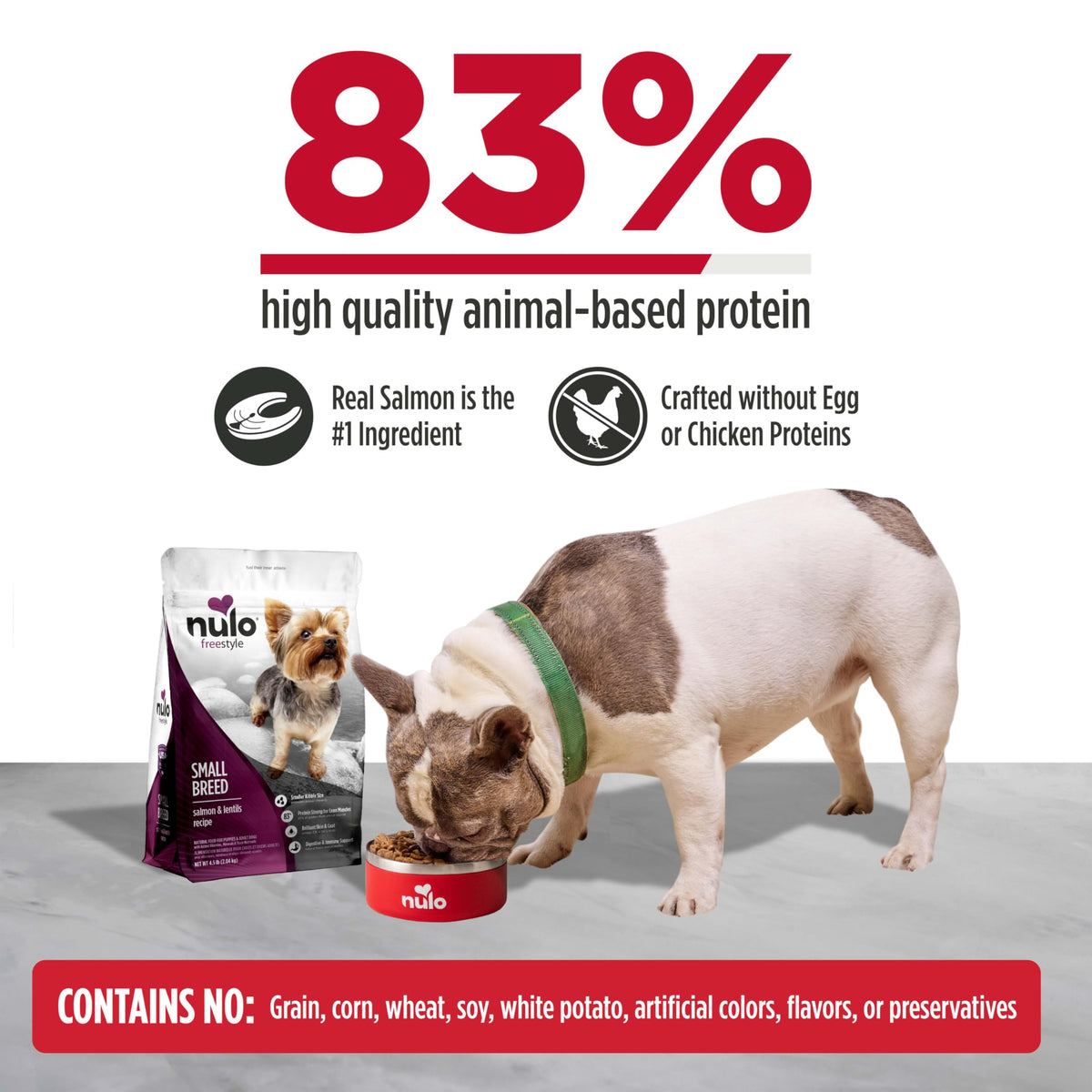 Salmon & Lentils Grain Free Dry Dog Food 6lb Bag N821564
