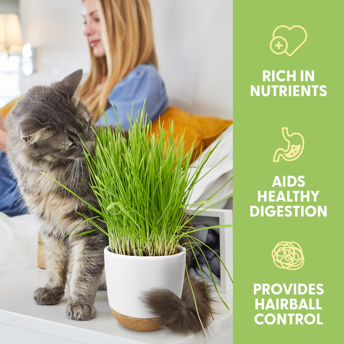 Organic Cat Grass Kit with Seed Mix, Soil and Ceramic Planter H957