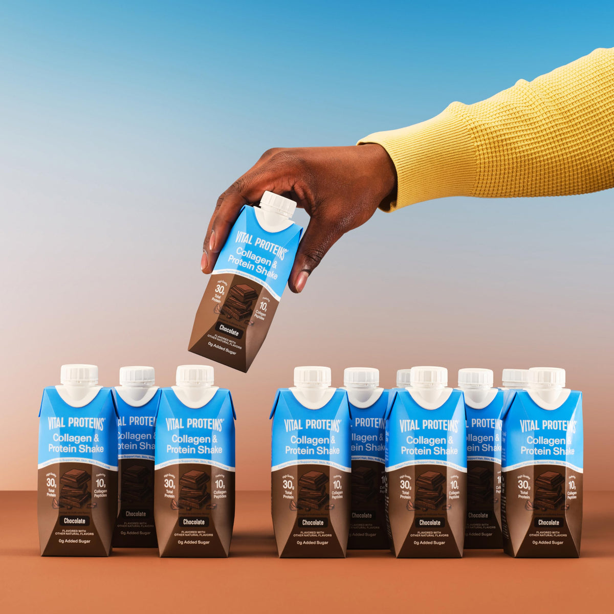 Chocolate Collagen & Protein Shake 12 Count H801082