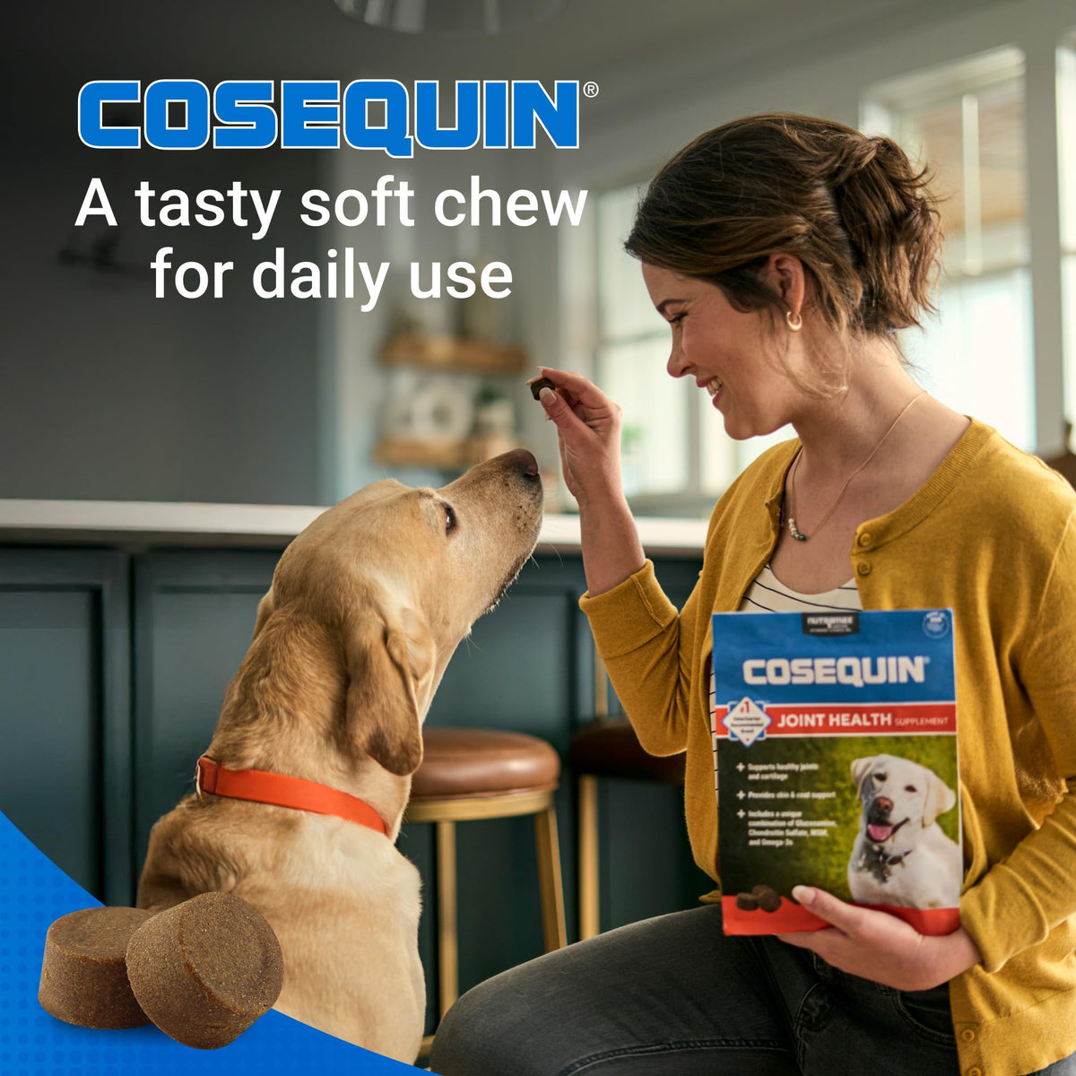 Dog Joint Supplement Soft Chews 60ct Q671338